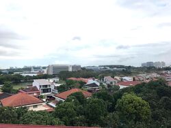Blk 9 Toh Yi Gardens (Bukit Timah), HDB 4 Rooms #449173831